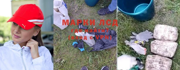 прущие грибы Магас