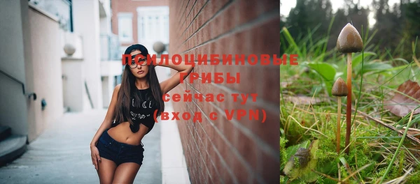 герыч Майский