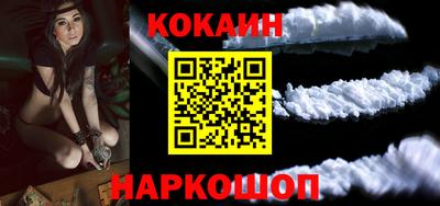кокс Гатчина