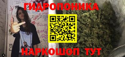 кокс Гатчина