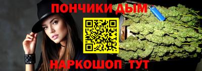 кокс Гатчина