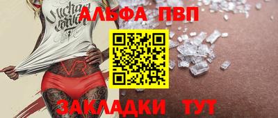 кокс Гатчина