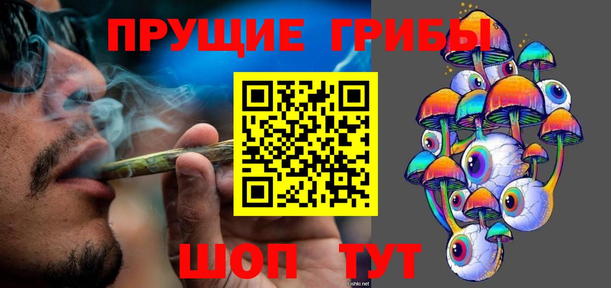 Новокубанск  Псилоцибиновые грибы Psilocybine cubensis  где купить наркоту  Вход с VPN 