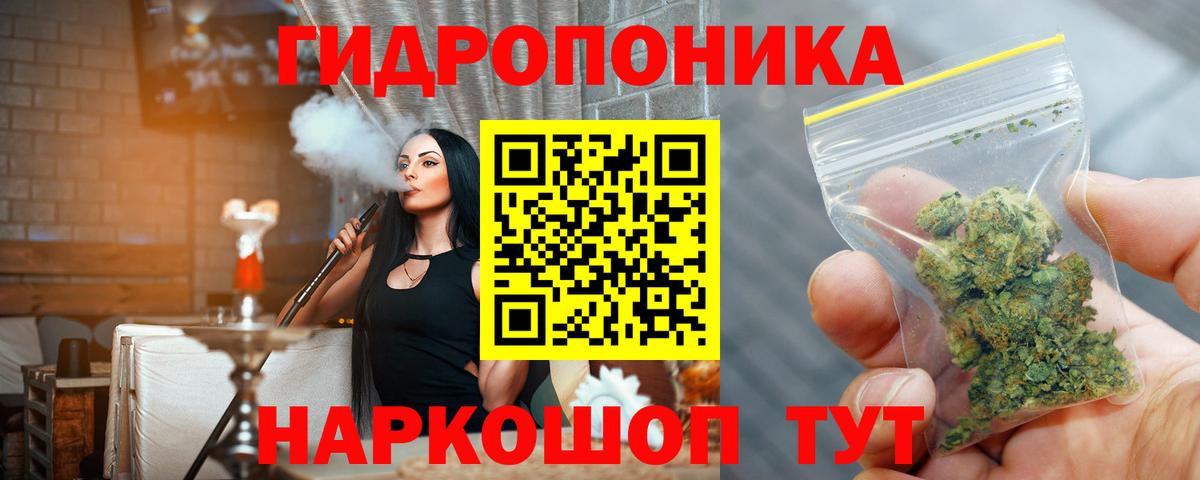 МАРИХУАНА семена Новокубанск